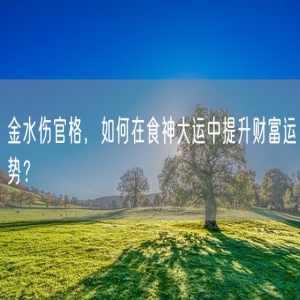金水伤官格，如何在食神大运中提升财富运势？