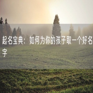起名宝典：如何为你的孩子取一个好名字