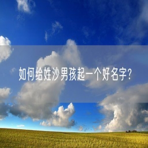 如何给姓沙男孩起一个好名字？