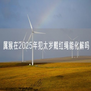 属猴在2025年犯太岁戴红绳能化解吗