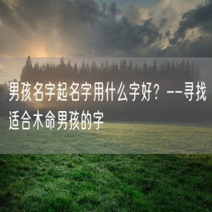 男孩名字起名字用什么字好？--寻找适合木命男孩的字