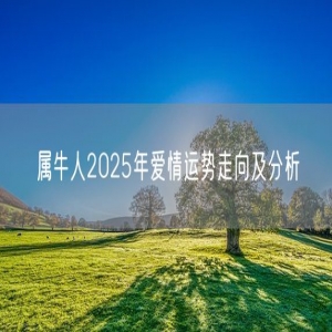 属牛人2025年爱情运势走向及分析
