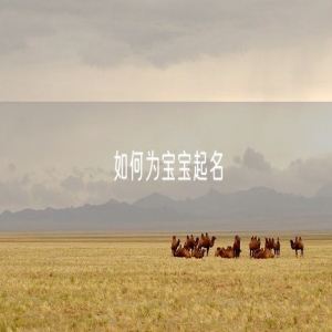 如何为宝宝起名