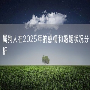 属狗人在2025年的感情和婚姻状况分析