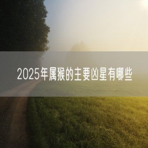 2025年属猴的主要凶星有哪些