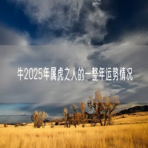 牛2025年属虎之人的一整年运势情况