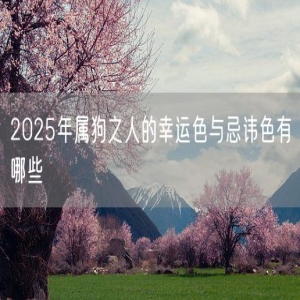 2025年属狗之人的幸运色与忌讳色有哪些