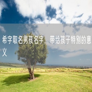 希字取名男孩名字，带给孩子特别的意义