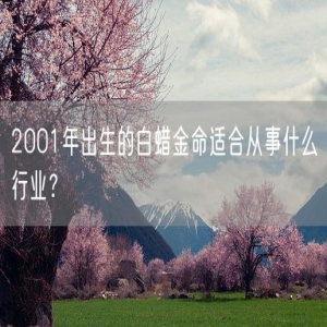 2001年出生的白蜡金命适合从事什么行业？