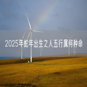 2025年蛇年出生之人五行属何种命