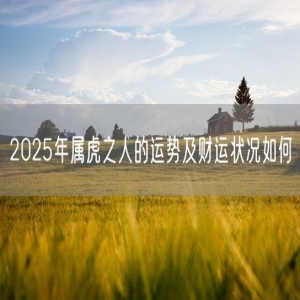 2025年属虎之人的运势及财运状况如何