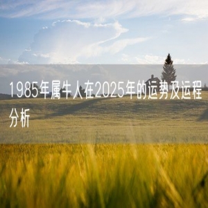 1985年属牛人在2025年的运势及运程分析