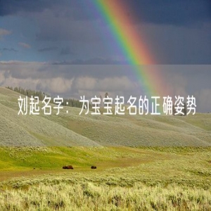 刘起名字：为宝宝起名的正确姿势