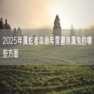 2025年属蛇者本命年需避讳属兔的哪些方面
