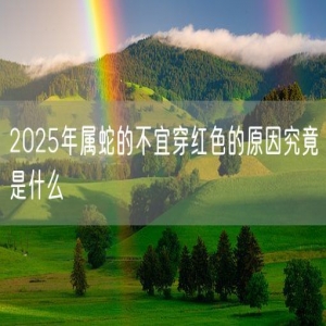 2025年属蛇的不宜穿红色的原因究竟是什么