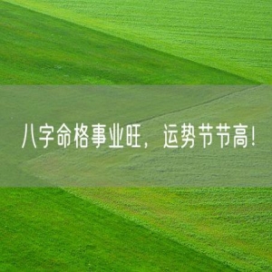 八字命格事业旺，运势节节高！