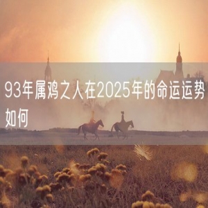 93年属鸡之人在2025年的命运运势如何