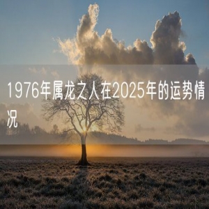 1976年属龙之人在2025年的运势情况
