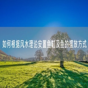 如何根据风水理论安置鱼缸及鱼的摆放方式