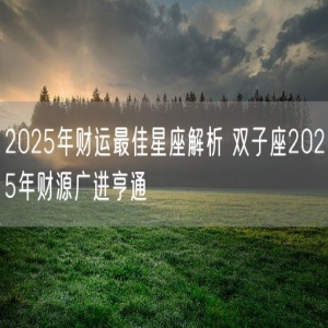 2025年财运最佳星座解析 双子座2025年财源广进亨通