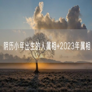 阴历小年出生的人属相+2023年属相