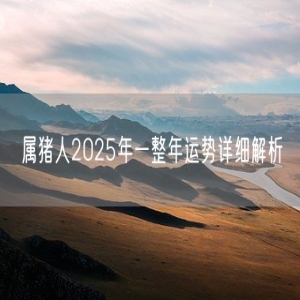 属猪人2025年一整年运势详细解析