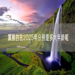 属猴的在2025年分别是多大年龄呢