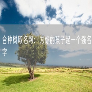 合种树取名网：为你的孩子起一个强名字