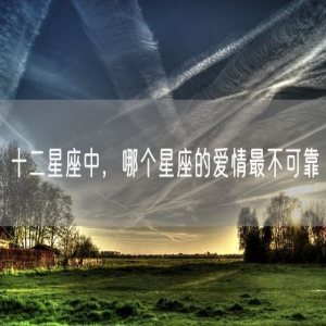 十二星座中，哪个星座的爱情最不可靠