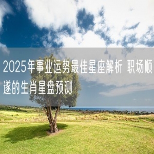 2025年事业运势最佳星座解析 职场顺遂的生肖星盘预测