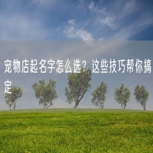宠物店起名字怎么选？这些技巧帮你搞定