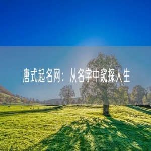 唐式起名网：从名字中窥探人生