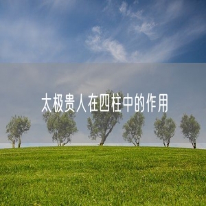 太极贵人在四柱中的作用