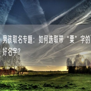 男孩取名专题：如何选取带“粟”字的好名字？
