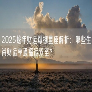 2025蛇年财运爆棚星座解析：哪些生肖财运亨通福运双至？