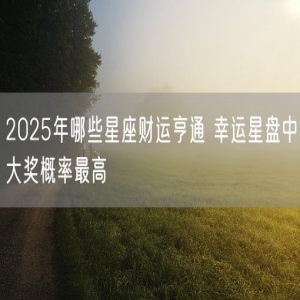 2025年哪些星座财运亨通 幸运星盘中大奖概率最高