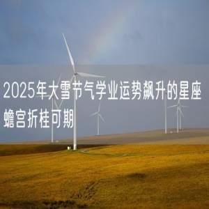 2025年大雪节气学业运势飙升的星座 蟾宫折桂可期