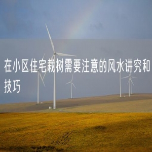 在小区住宅栽树需要注意的风水讲究和技巧