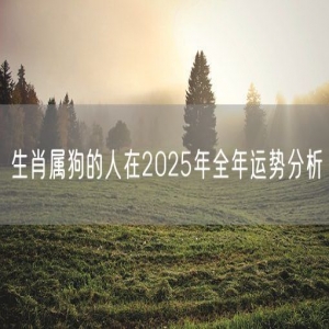 生肖属狗的人在2025年全年运势分析