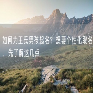 如何为王氏男孩起名？想要个性化取名，先了解这几点