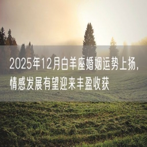 2025年12月白羊座婚姻运势上扬，情感发展有望迎来丰盈收获