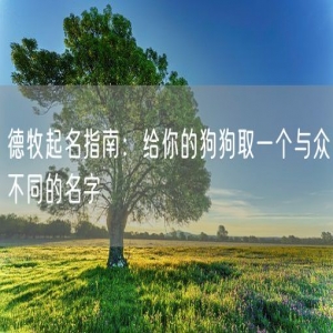 德牧起名指南：给你的狗狗取一个与众不同的名字