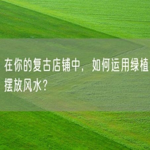 在你的复古店铺中，如何运用绿植摆放风水？