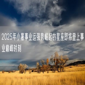 2025年小暑事业运强势崛起的星座即将登上事业巅峰时刻