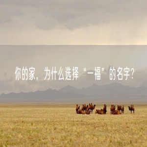 你的家，为什么选择“一福”的名字？
