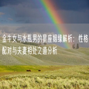 金牛女与水瓶男的星座姻缘解析：性格配对与夫妻相处之道分析