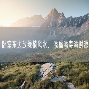 卧室东边放绿植风水，添福添寿添财源