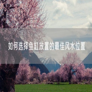 如何选择鱼缸放置的最佳风水位置