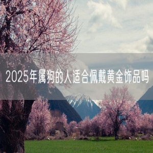 2025年属狗的人适合佩戴黄金饰品吗