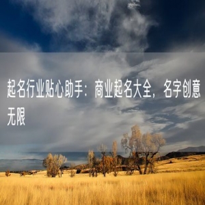 起名行业贴心助手：商业起名大全，名字创意无限